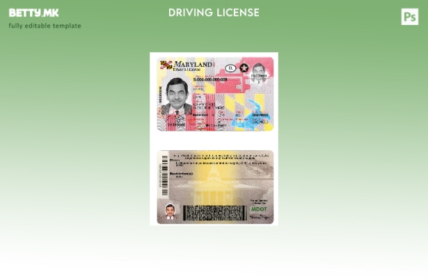 модерен стил USA Maryland DL сегашен шаблон